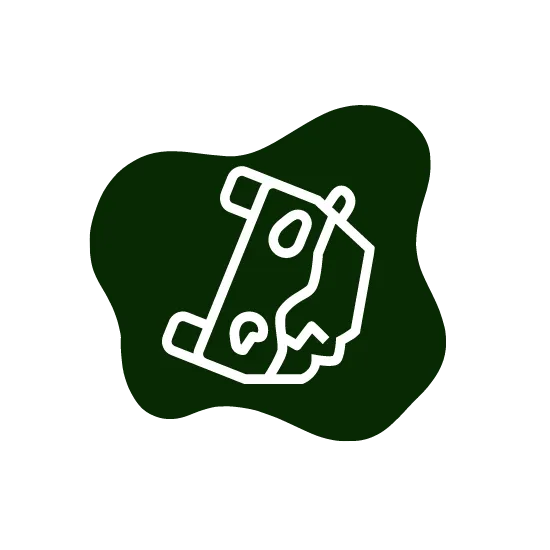 Accidentes de tráfico